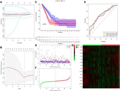 Function and prognostic value of basement membrane -related genes in lung adenocarcinoma